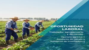 Lee más sobre el artículo Trabajador agropecuario y de campo